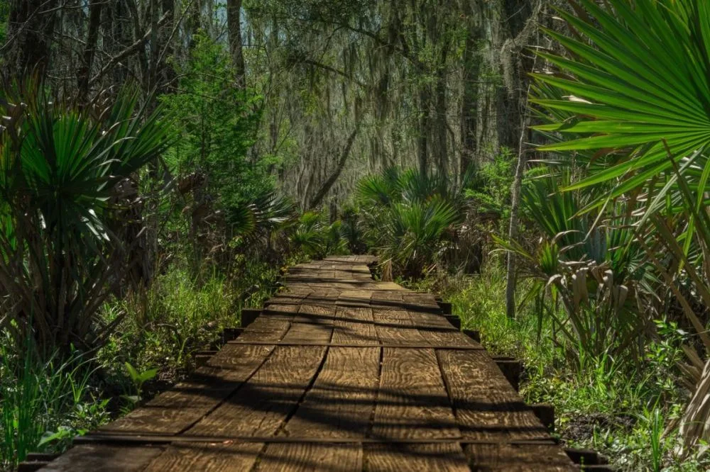 Jean Lafitte National Historical Park