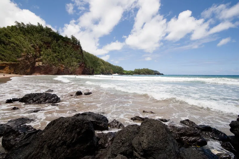 Hawaii 2005 484_1