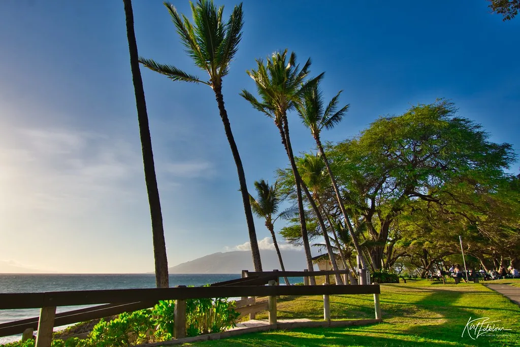 Kamaole Beach Park III (#384 explore 09/16/20)