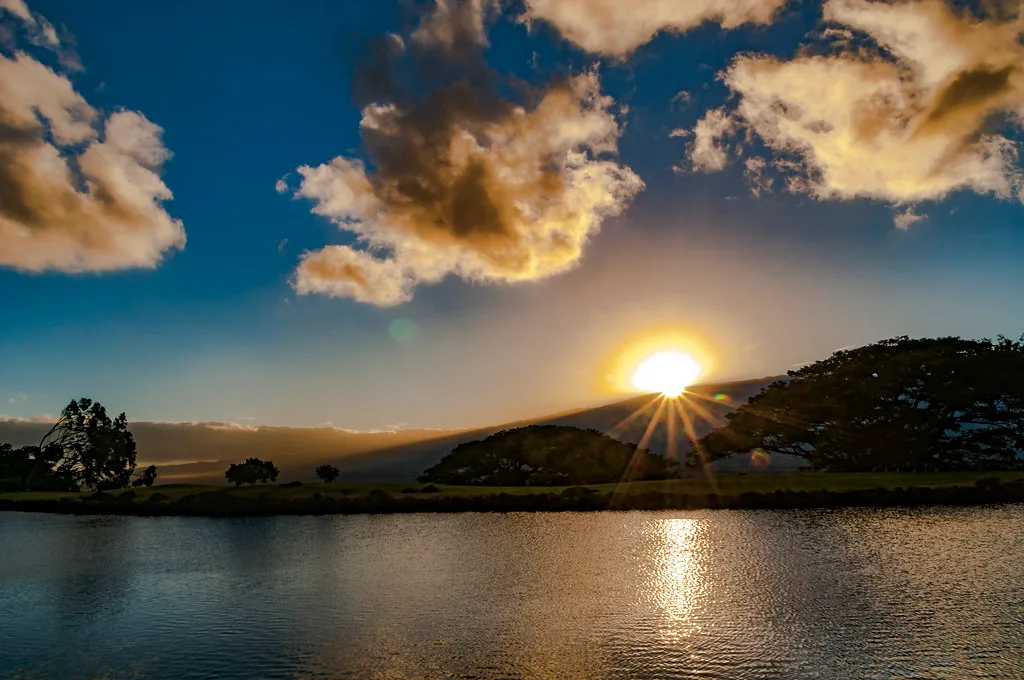 Happy Aloha Sunday :)