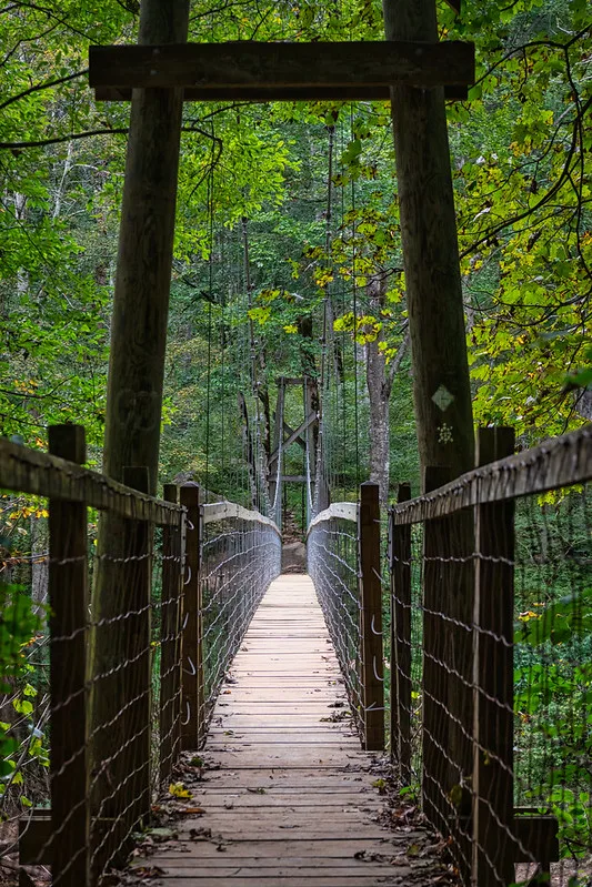 Sheltowee Trace Suspension Bridge, Daniel Boone National Forest