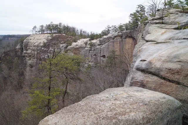 Auxier Ridge Trail