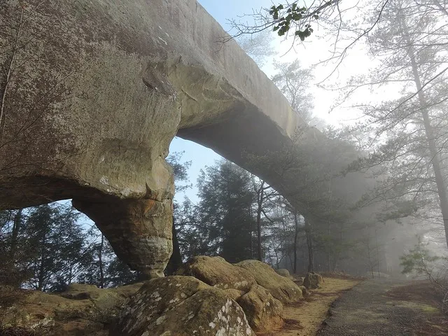 Sky Bridge Trail, Red River Gorge