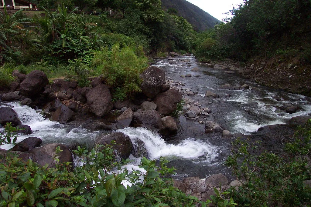 Maui Hawai Iao Valley, near Wailuku. Marcia Berkowitz Maui Hawaii