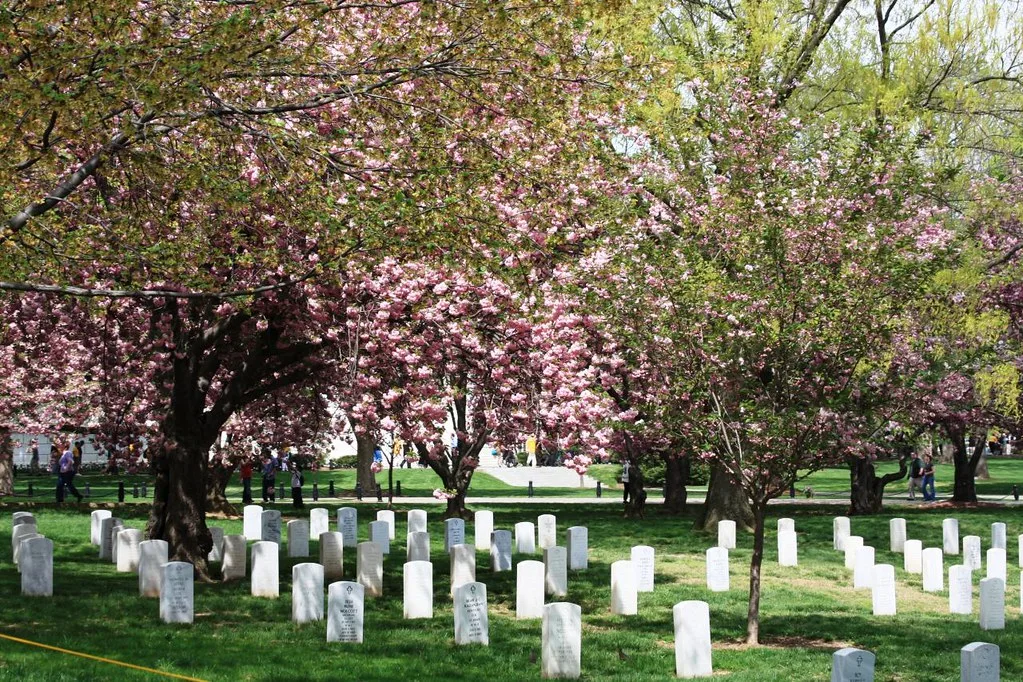 20080419_Arlington_Va_091A