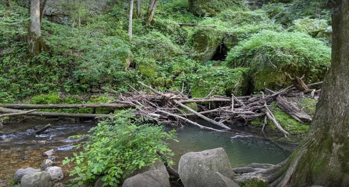 Backbone State Park