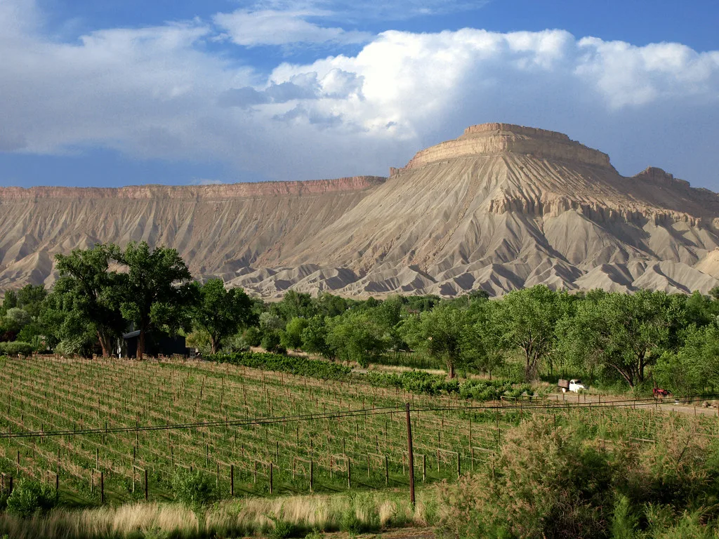 Winery in Grand Junction, Colorado