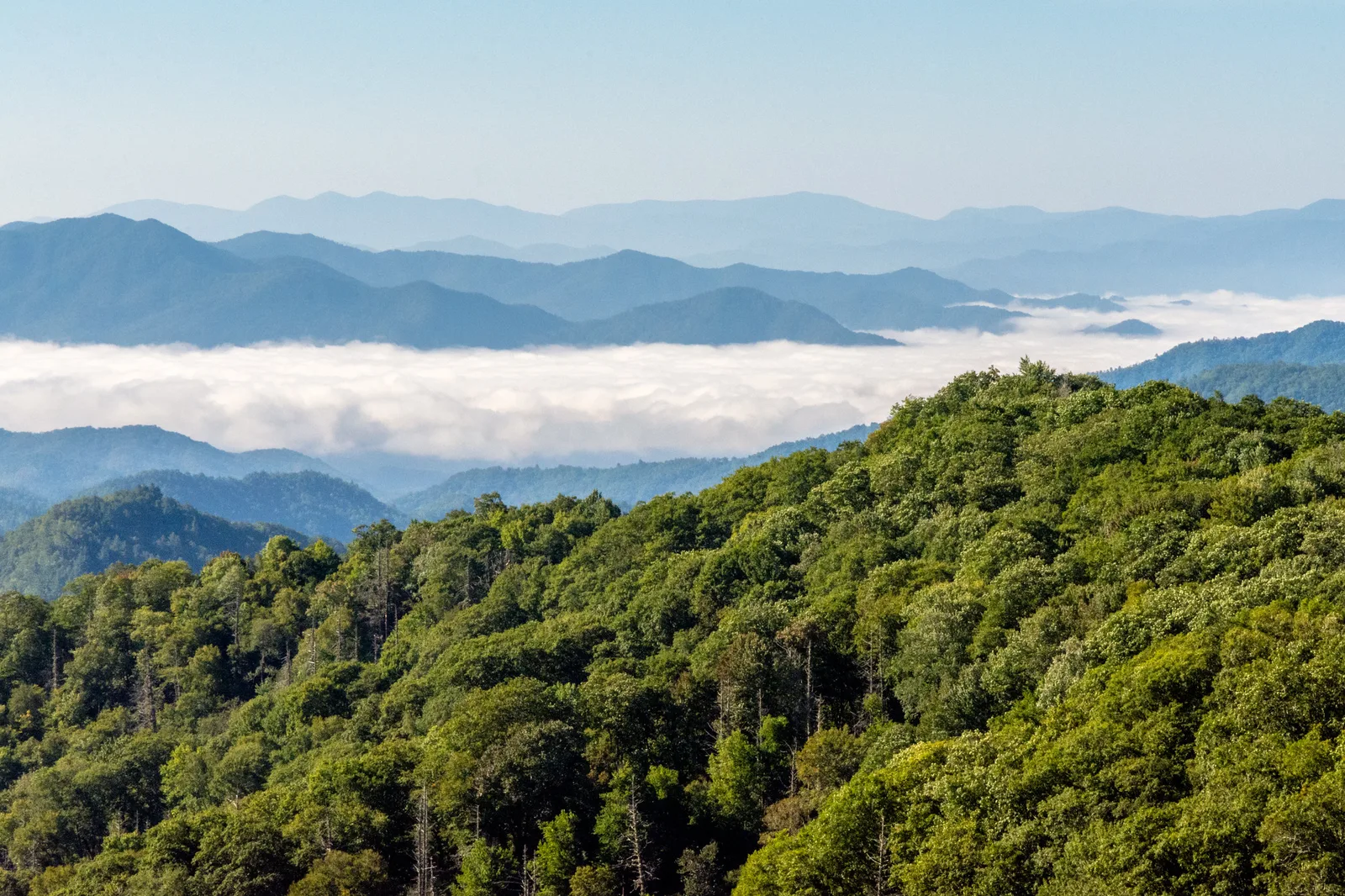Great Smoky Mountains National Park, North Carolina, Tennessee, USA