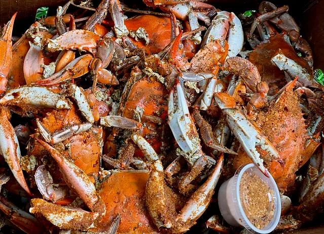 Maryland Blue Crabs