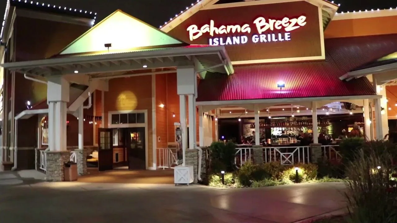 Bahama Breeze Virginia Beach Mannequin Challenge | Bahama breeze, Virginia beach, Breeze