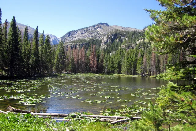 Colorado - Rocky Mountain National Park: Nymph Lake