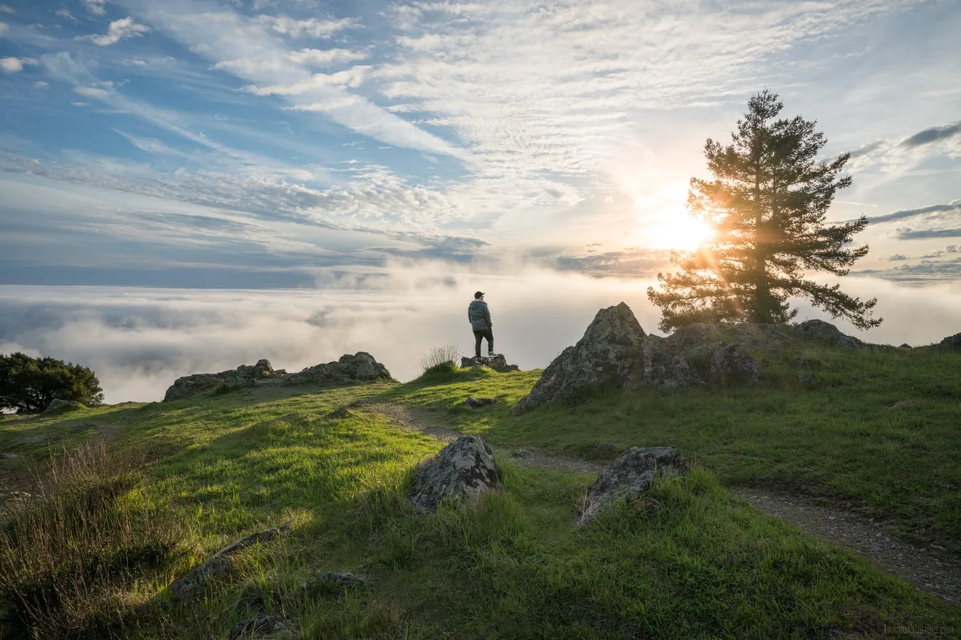 Mount Tamalpais Bay Area