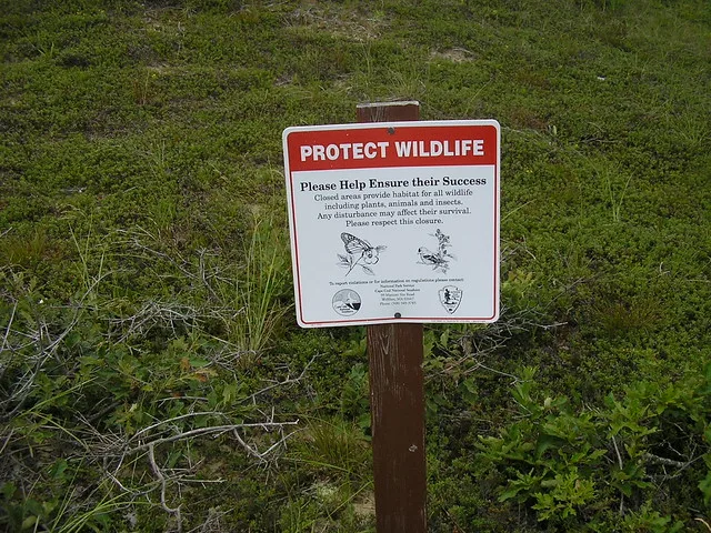 Protect Wildlife