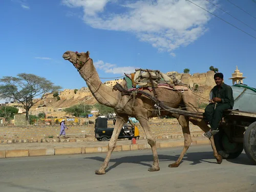 Traffic in Jaisalmer
