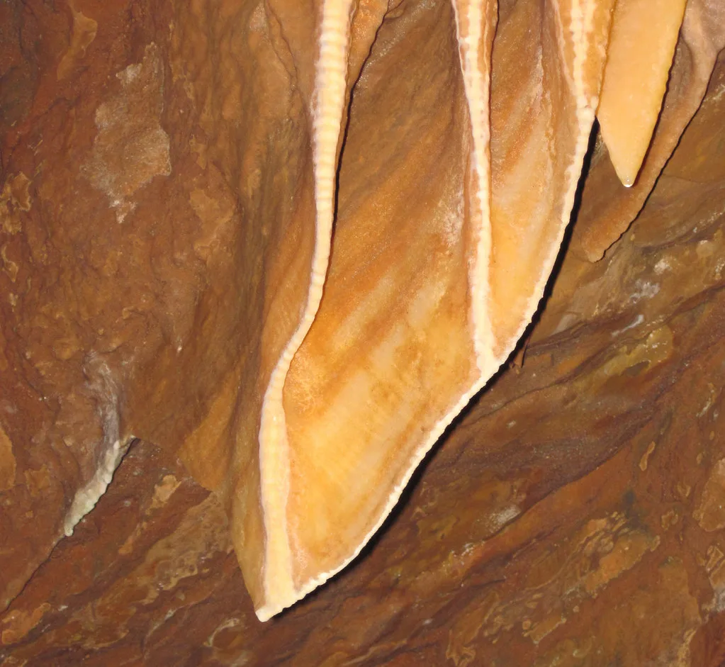 Travertine drapery (“cave bacon”) (Shenandoah Caverns, Qui… | Flickr