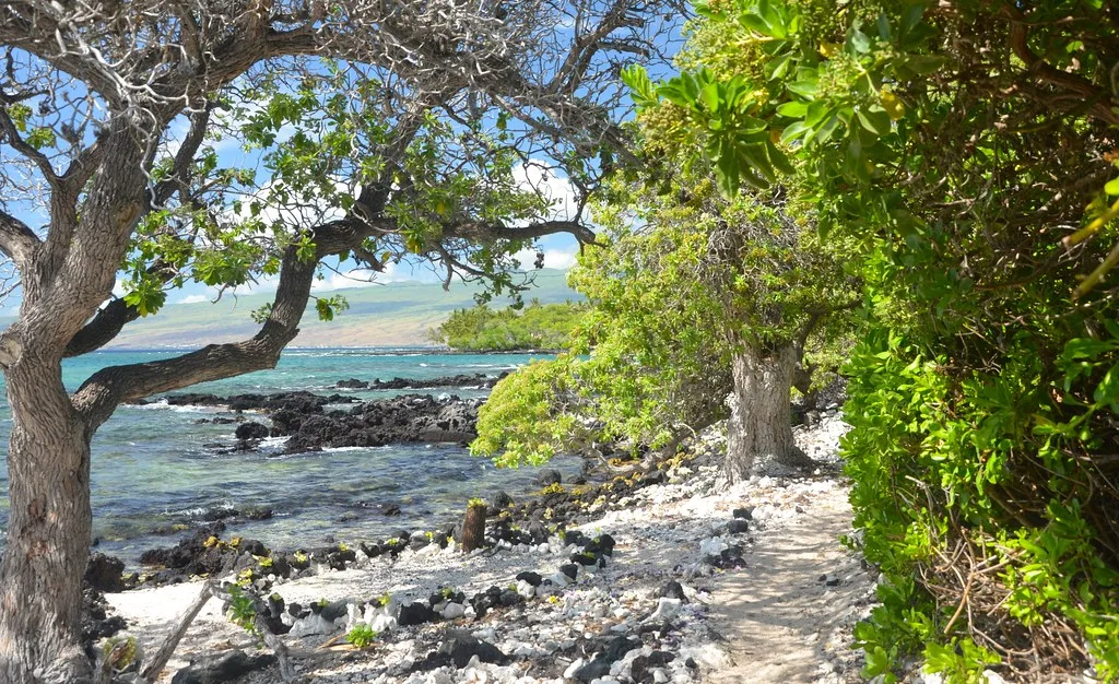 Ala Kahakai