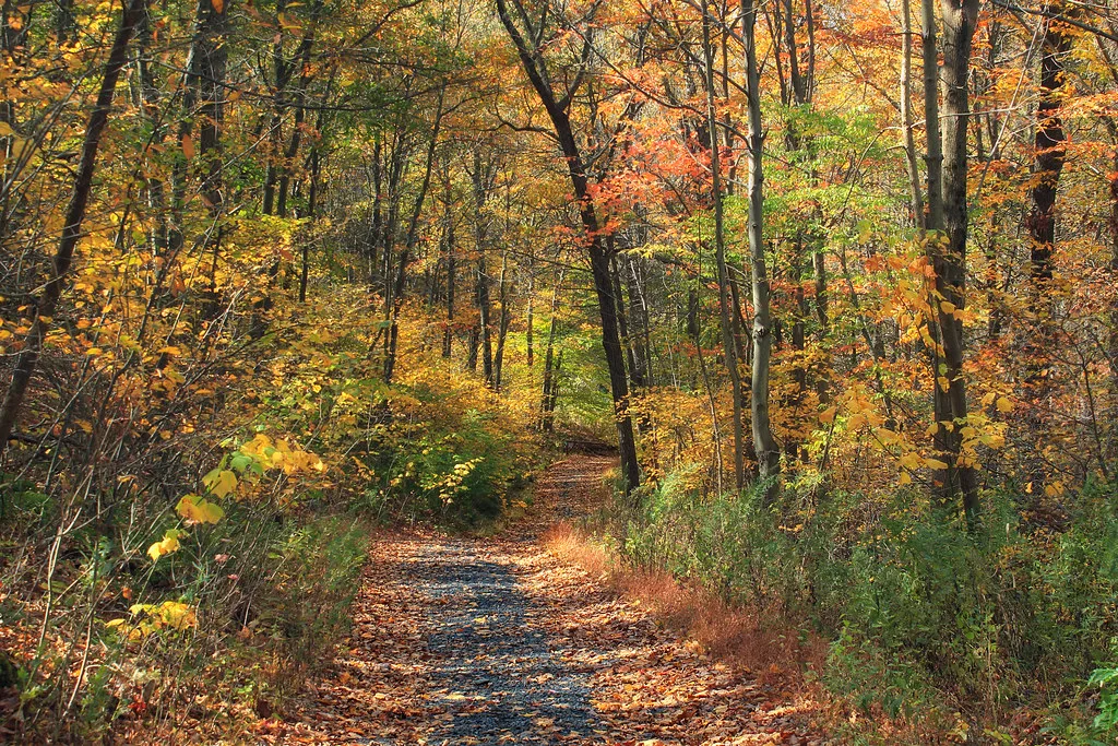 Appalachian Trail: Totts Gap to Mount Minsi (2)