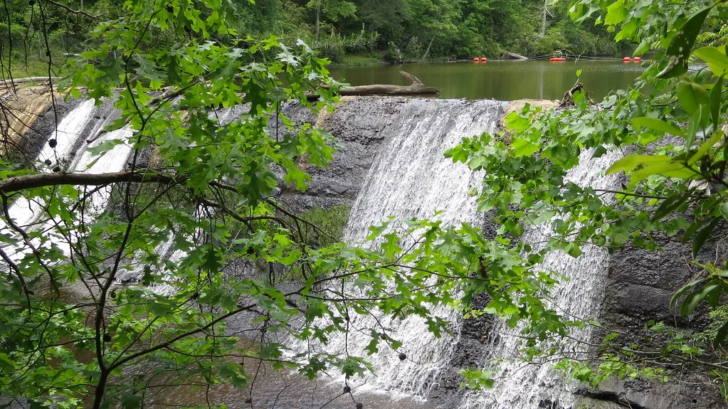 Prince William Forest Park - Dam