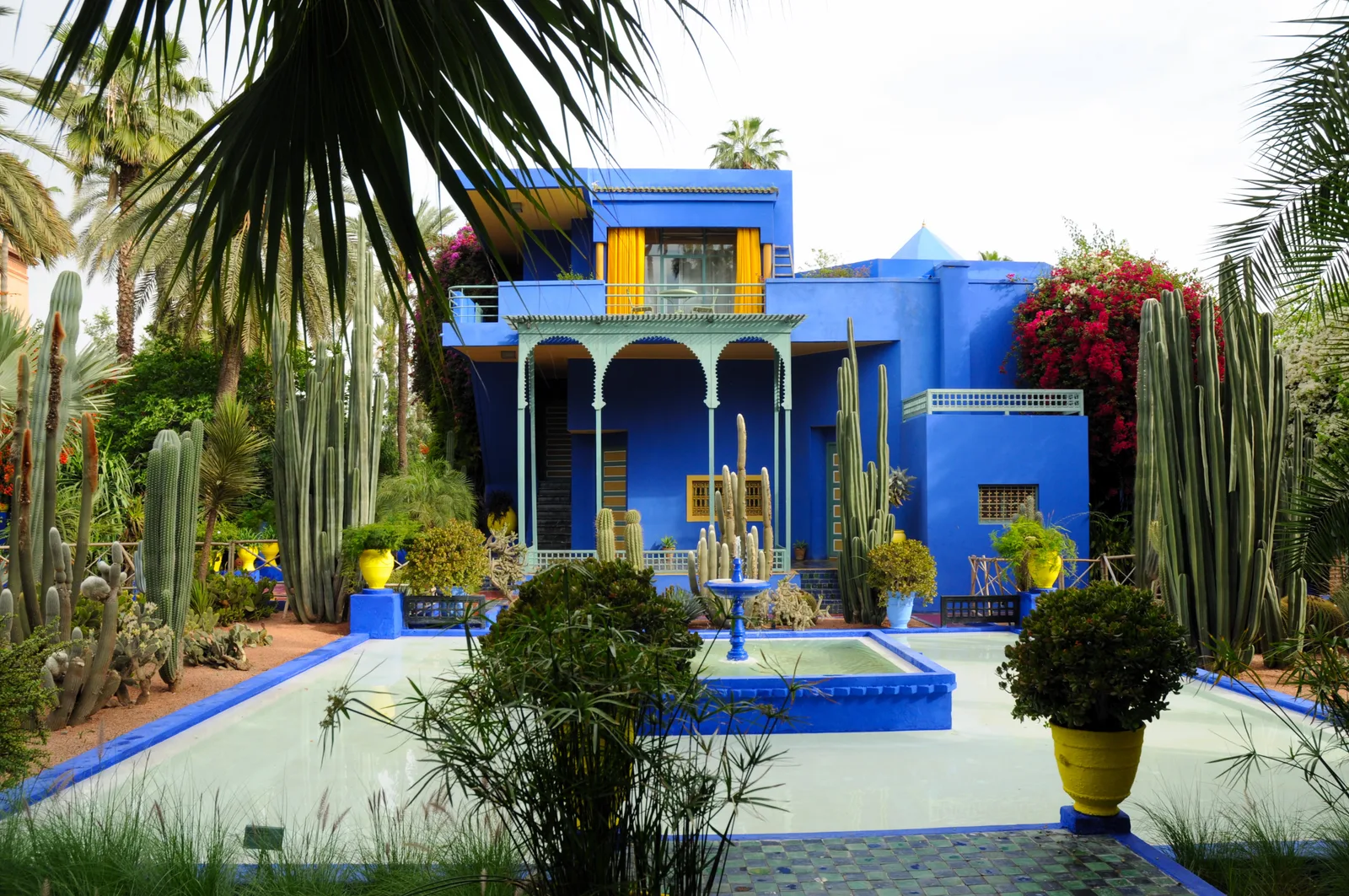 File:Le jardin des majorelle 16.JPG - Wikimedia Commons