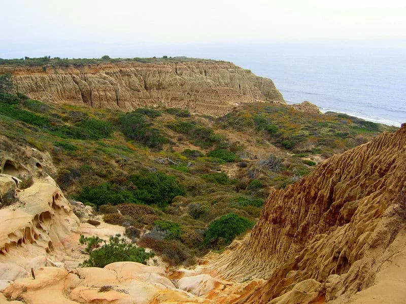 File:Torrey Pines State Park Valley.jpg