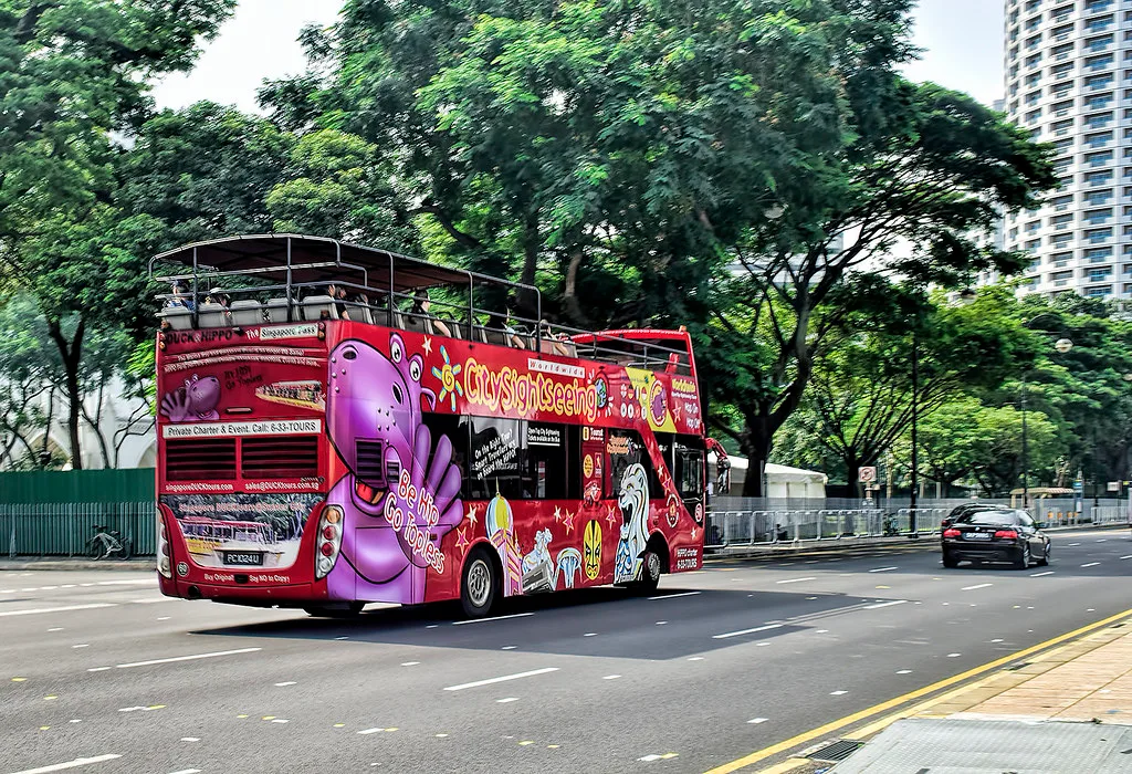 Singapore City Sightseeing