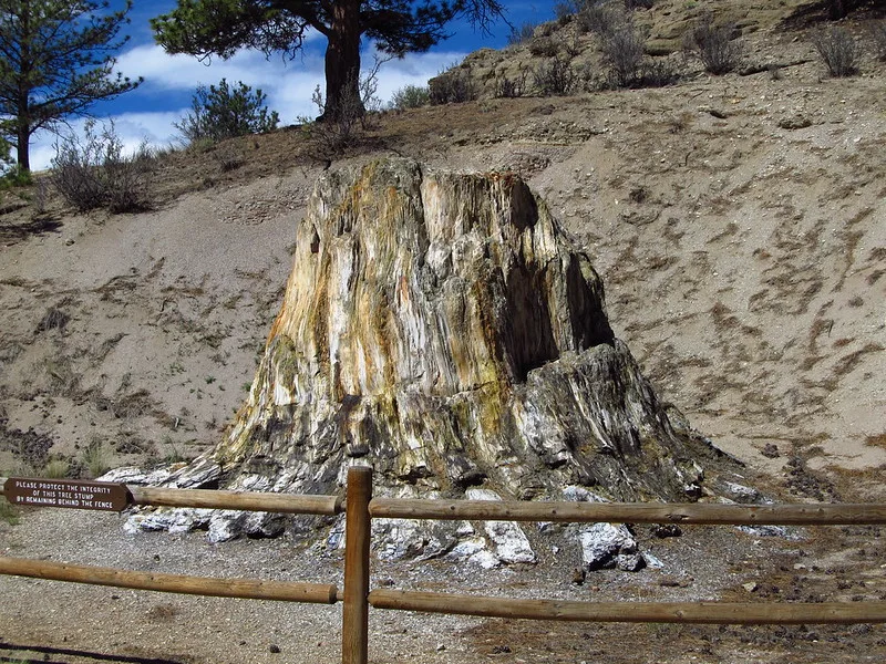 Florissant Fossil Beds National Monument