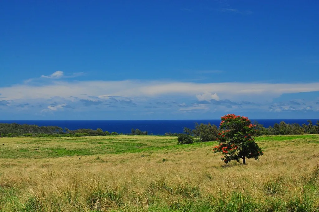 Hawi, Hawaii