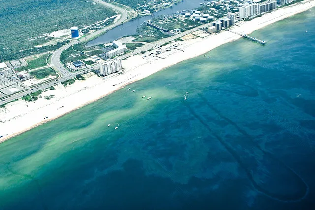 Oil Hitting The Beach of Gulf Shores, Alabama