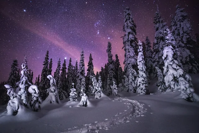 Whistler backcountry at night