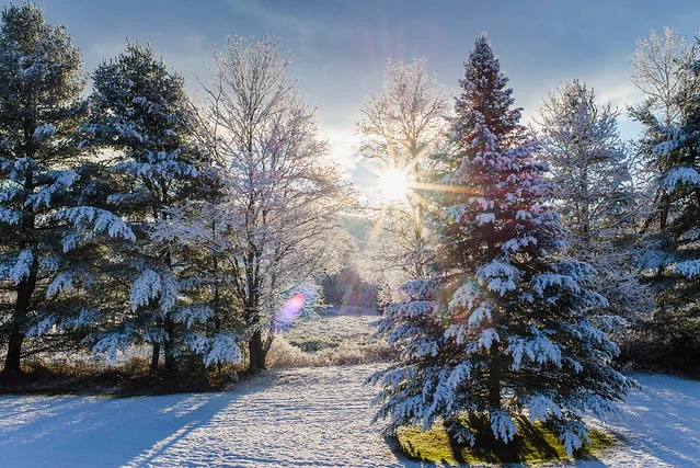 Morning Snowfall Sun Flare