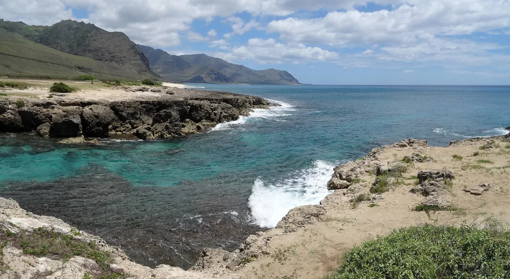 Arrecife levantado - Ka’ena Point State Park, Oahu, Hawái (EE. UU.) - 03