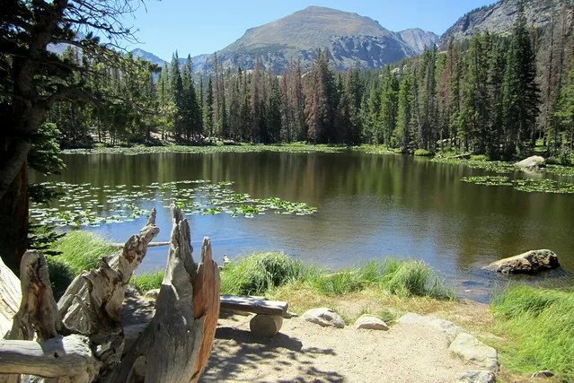 Colorado - Rocky Mountain National Park: Nymph Lake