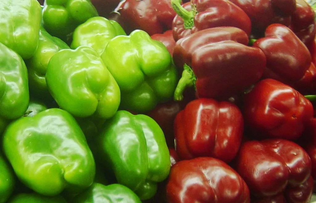 Red and green peppers, Allentown Farmer’s Market
