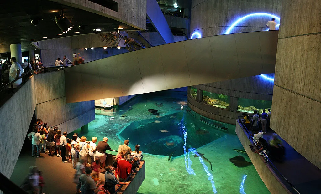 National Aquarium in Baltimore, Inner Harbor MD - 03