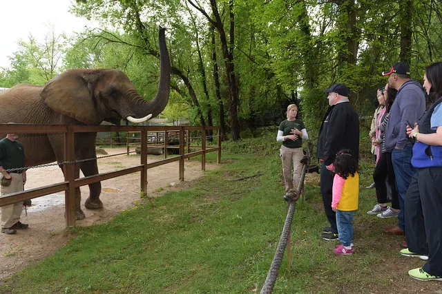 Governor Hogan and Family Visit Maryland Zoo in Baltimore