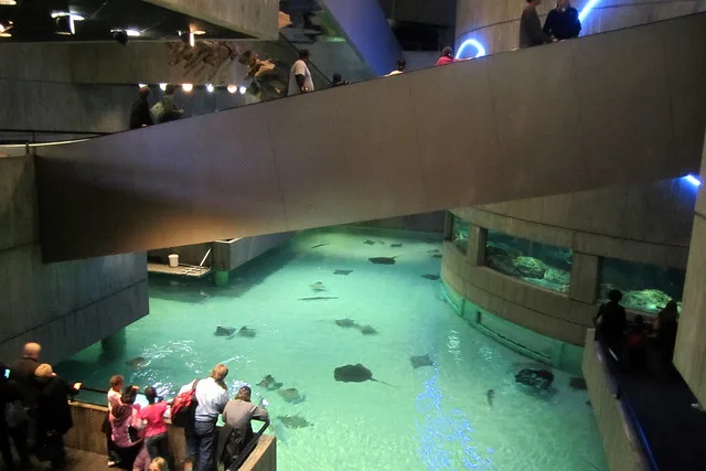 Baltimore: National Aquarium
