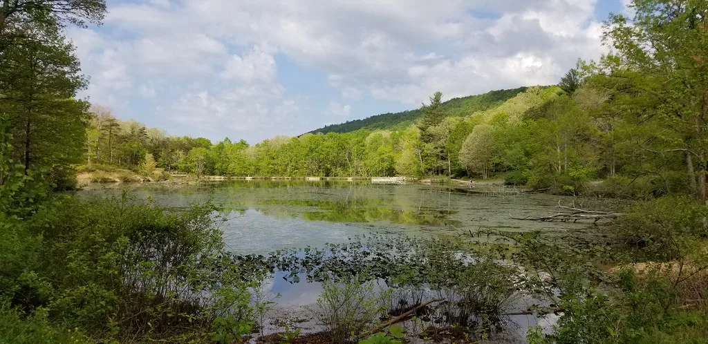 Pandapas Pond, Blacksburg, VA
