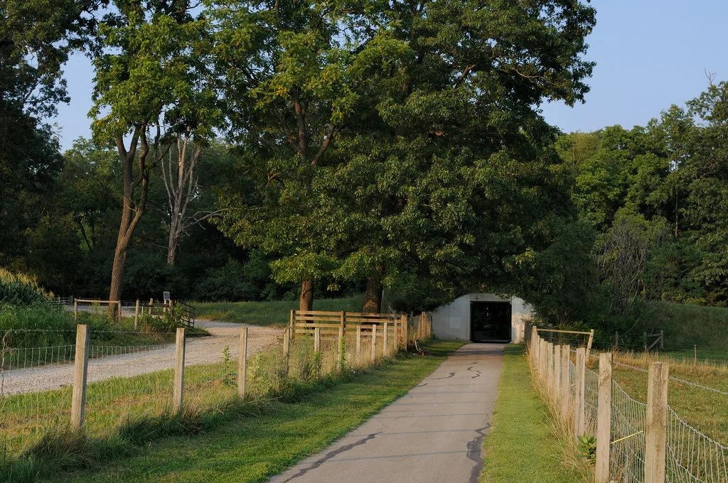 Huckleberry Trail