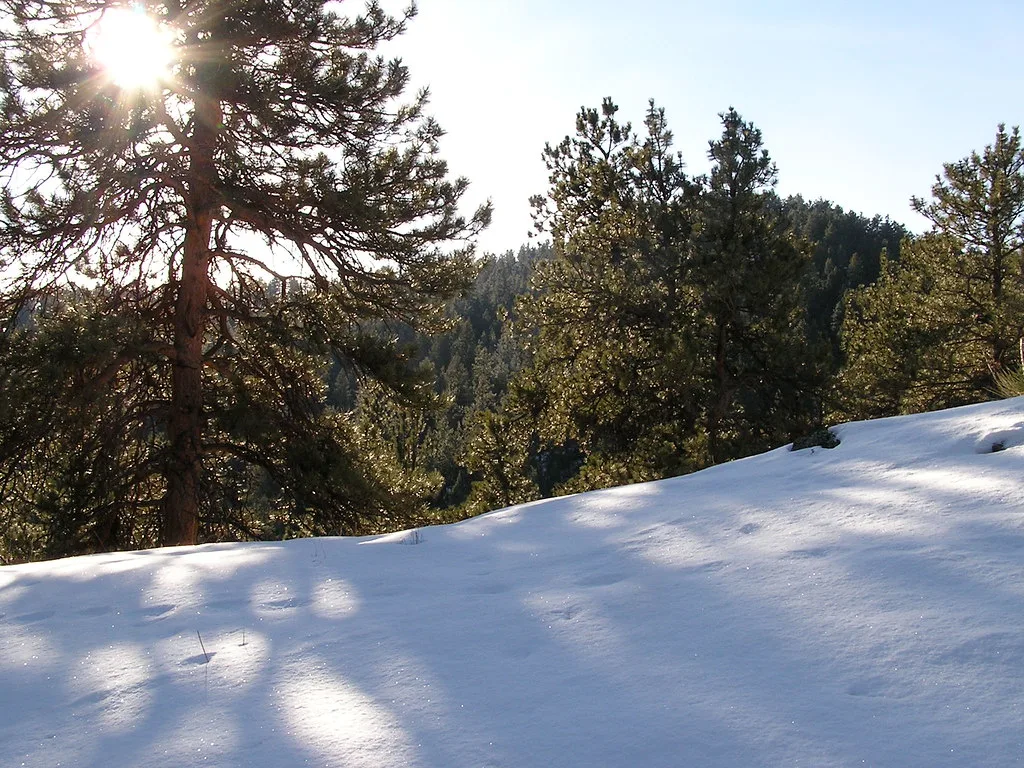 Betasso Preserve, Boulder, hike with Orion,1_6_08