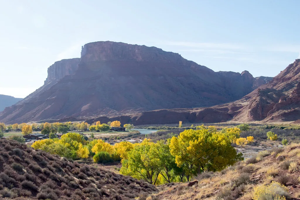 Colorado River from the Sorrel Ridge Trail