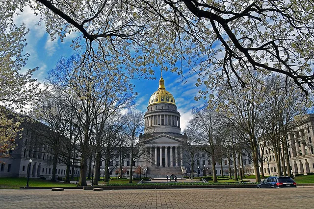 DSC_8654 spring blossoms at the capitol