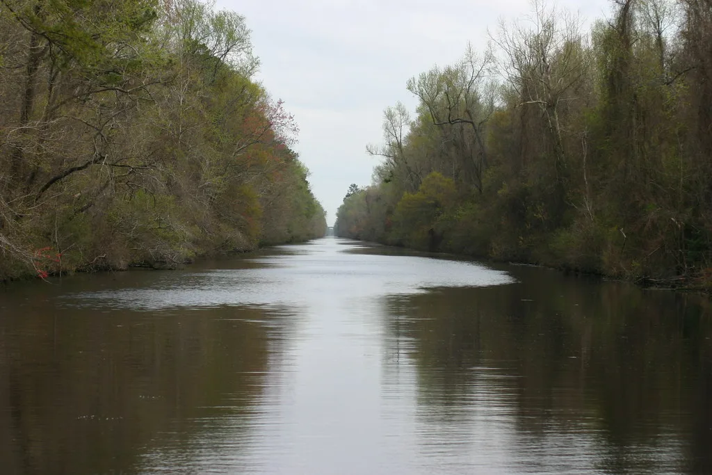Dismal Swamp Canal