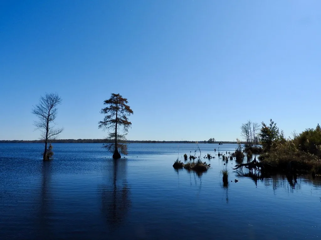 Lake Drummond