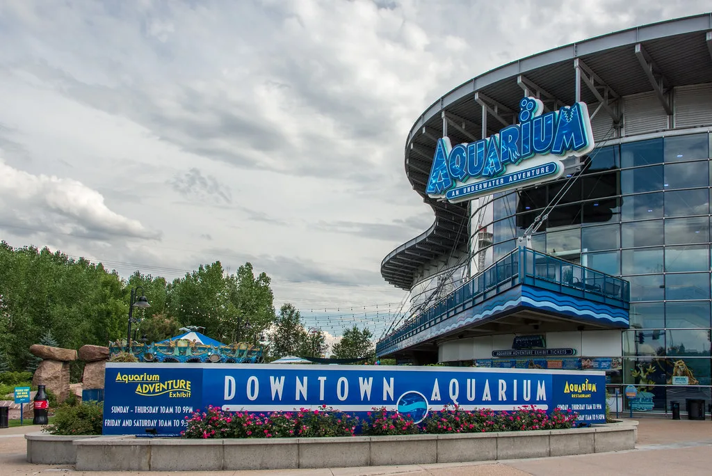 Denver Downtown Aquarium
