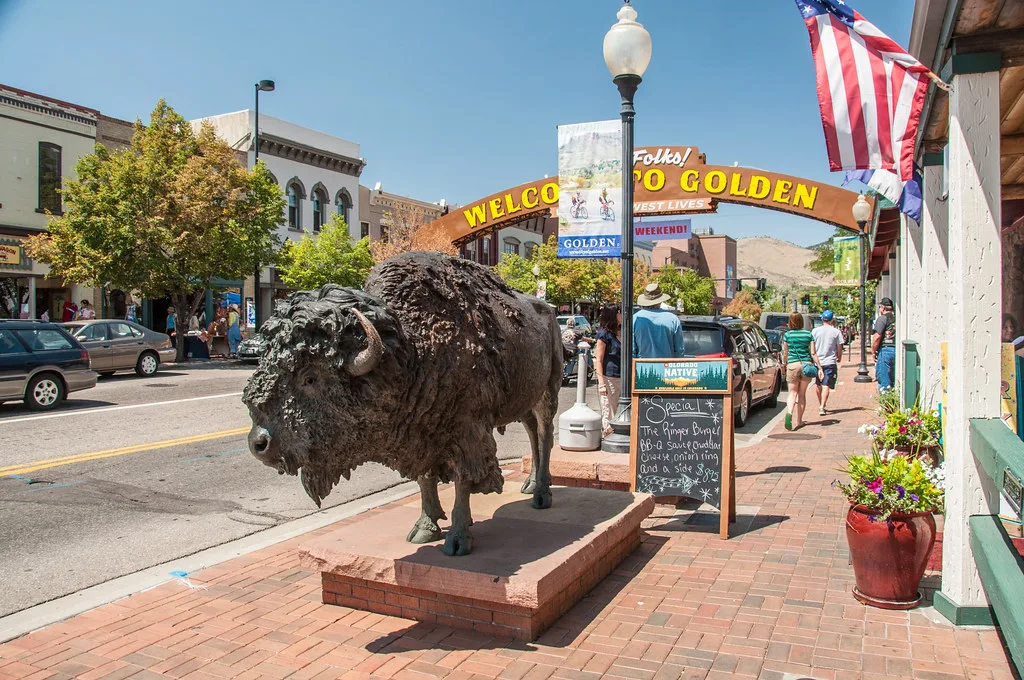 Buffalo by the Buffalo Rose Saloon
