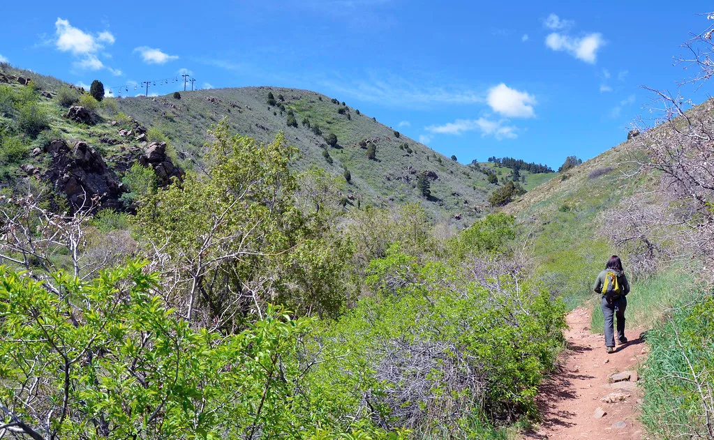 Apex Trail - May 2013
