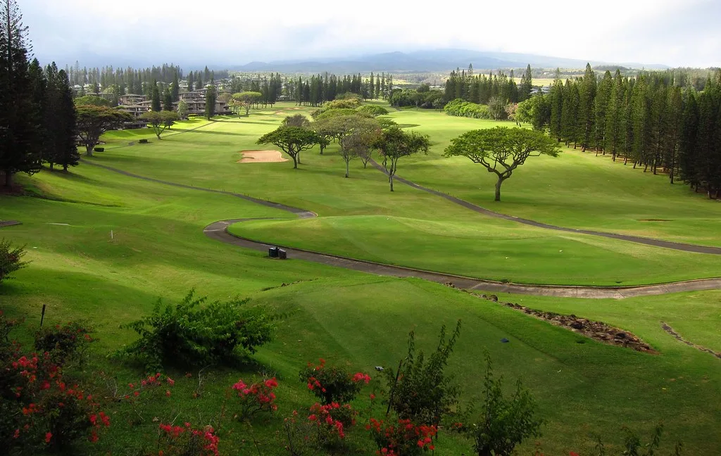 Golf course view