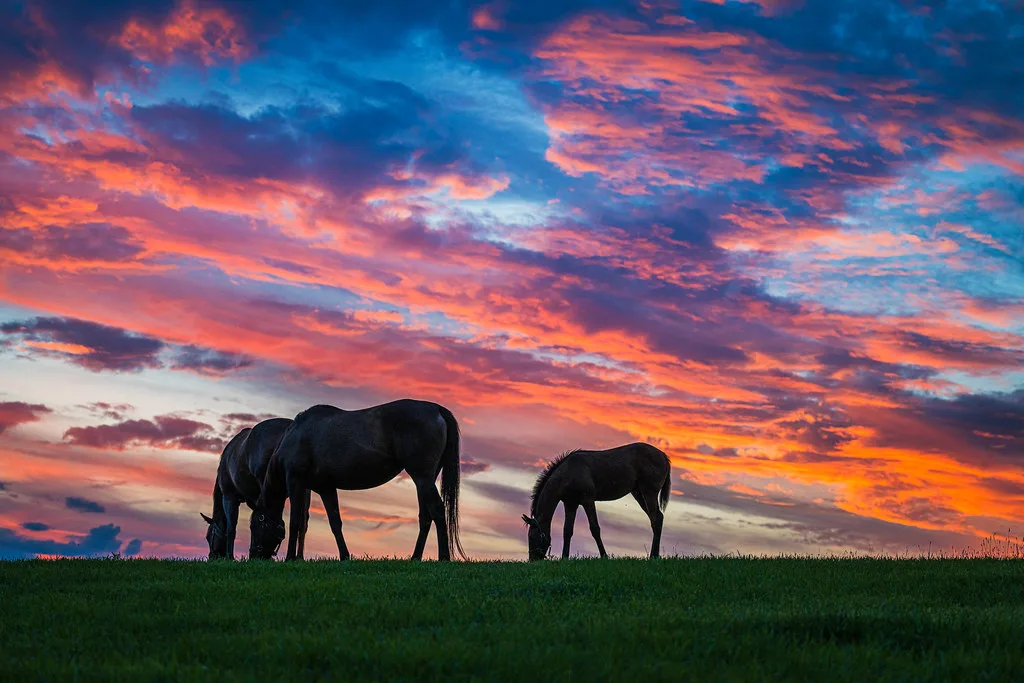 Kentucky sunset