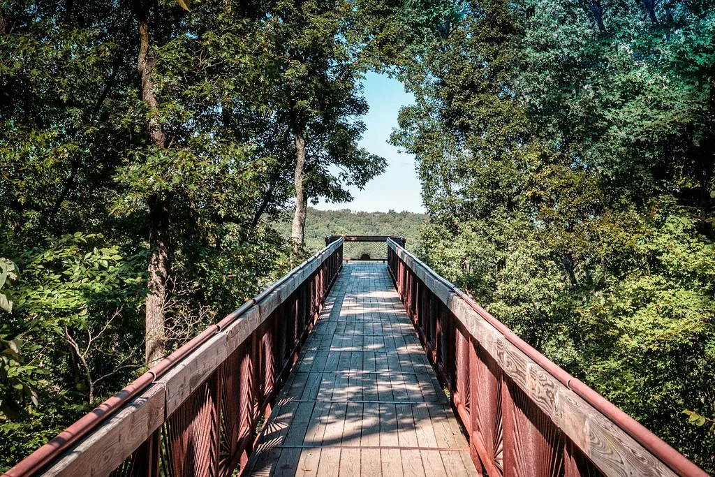 Bernheim Forest Canopy Tree Walk Outbound
