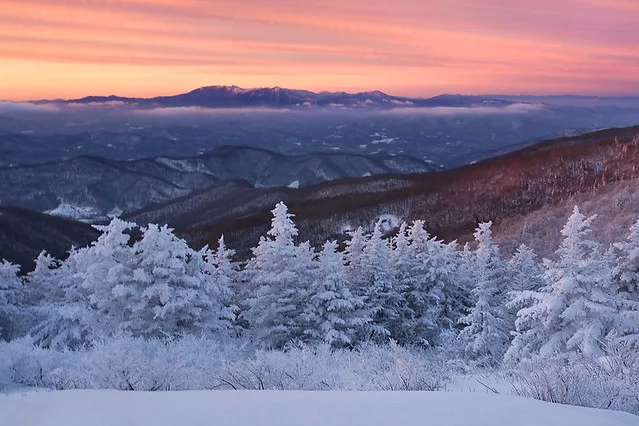 BLACK MOUNTAIN WINTER – Roan Highlands, TN